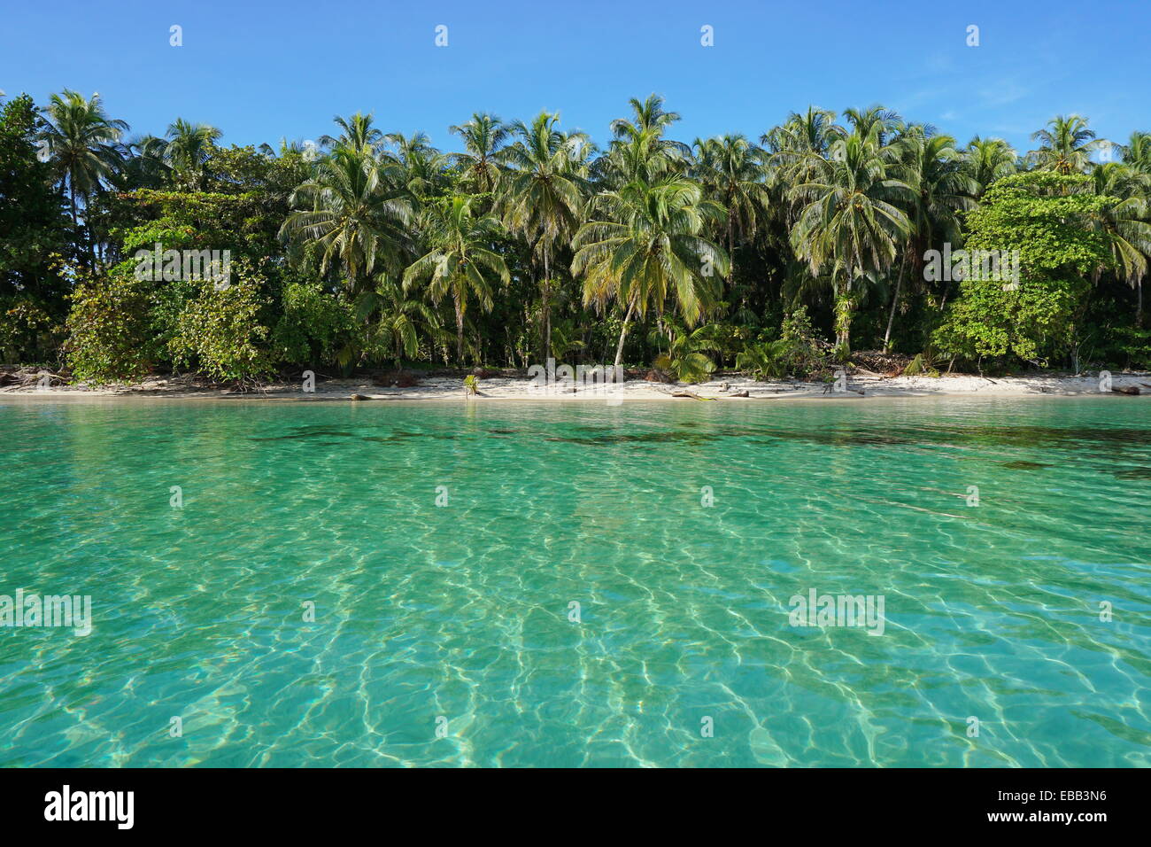 Peaceful Caribbean beach with tropical vegetation and clear water viewed from the sea, Zapatilla islands, Bocas del Toro, Panama Stock Photo