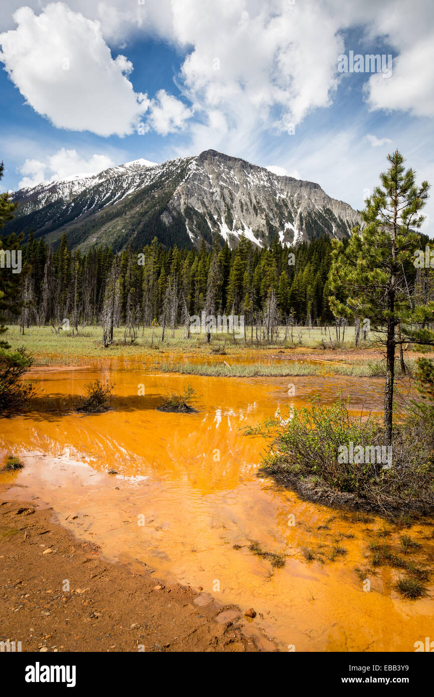 Paint Pots in Kootenay National Park, British Columbia, Canada Stock