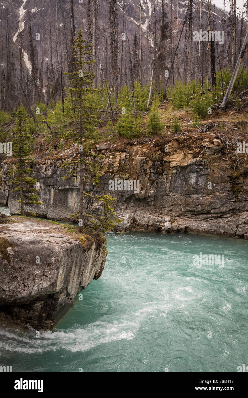 River in kootenay national park hi-res stock photography and images - Alamy