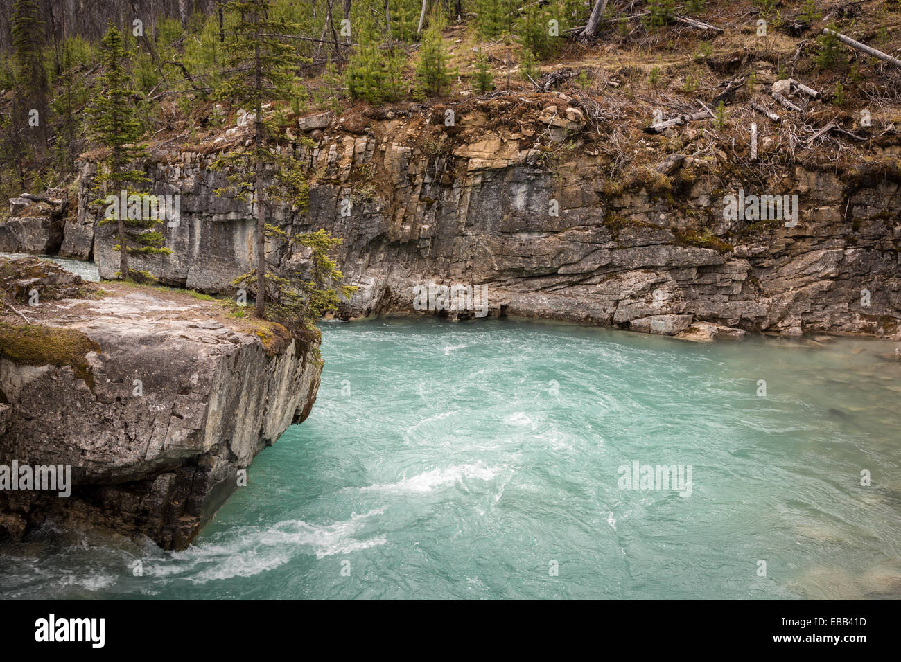 River in kootenay national park hi-res stock photography and images - Alamy