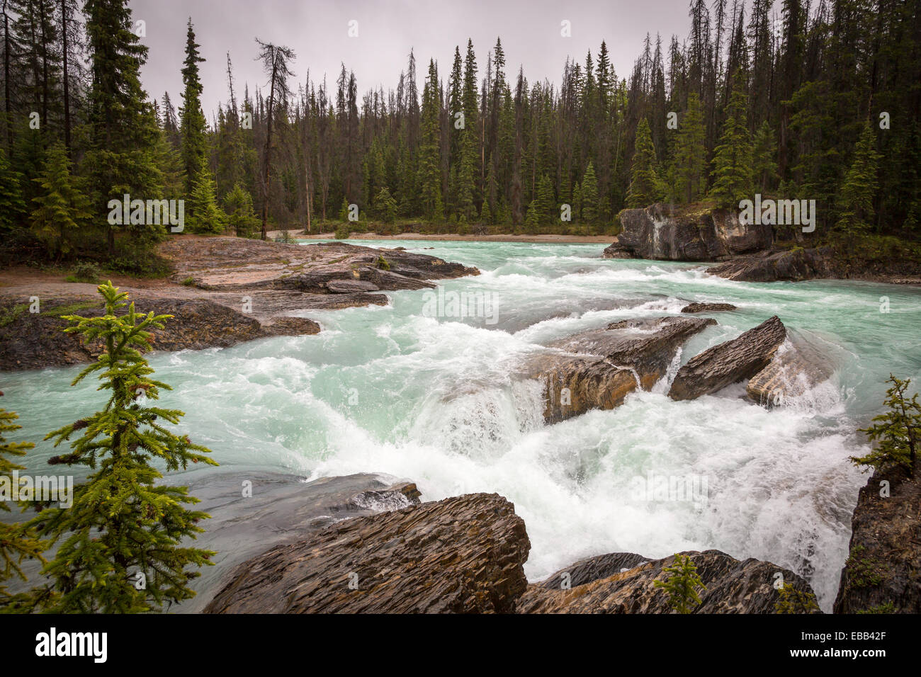 Canada waterfalls hi-res stock photography and images - Alamy