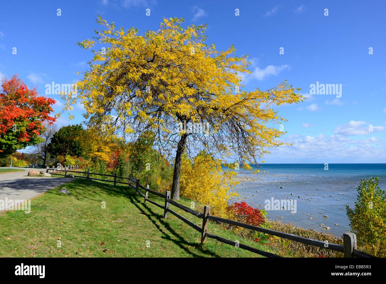 Fenced shoreline with colorful fall leaves autumn trees Michigan Stock Photo