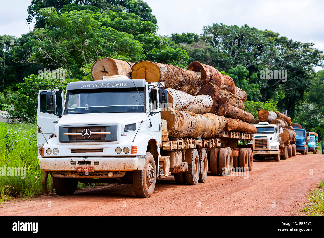 Brazil Amazon Rainforest Logging truck carrying timber Stock Photo