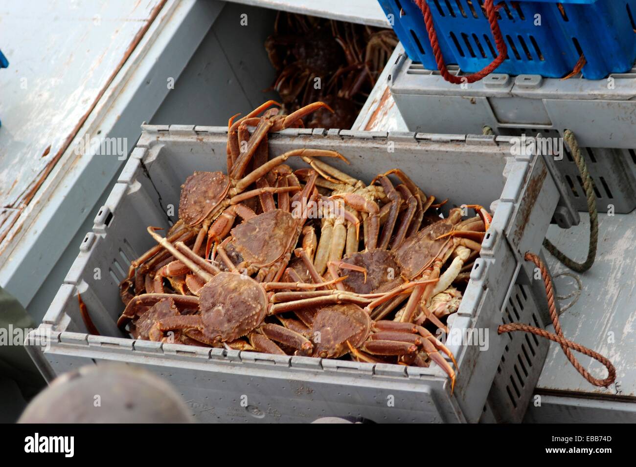 Boat snow crab hires stock photography and images Alamy