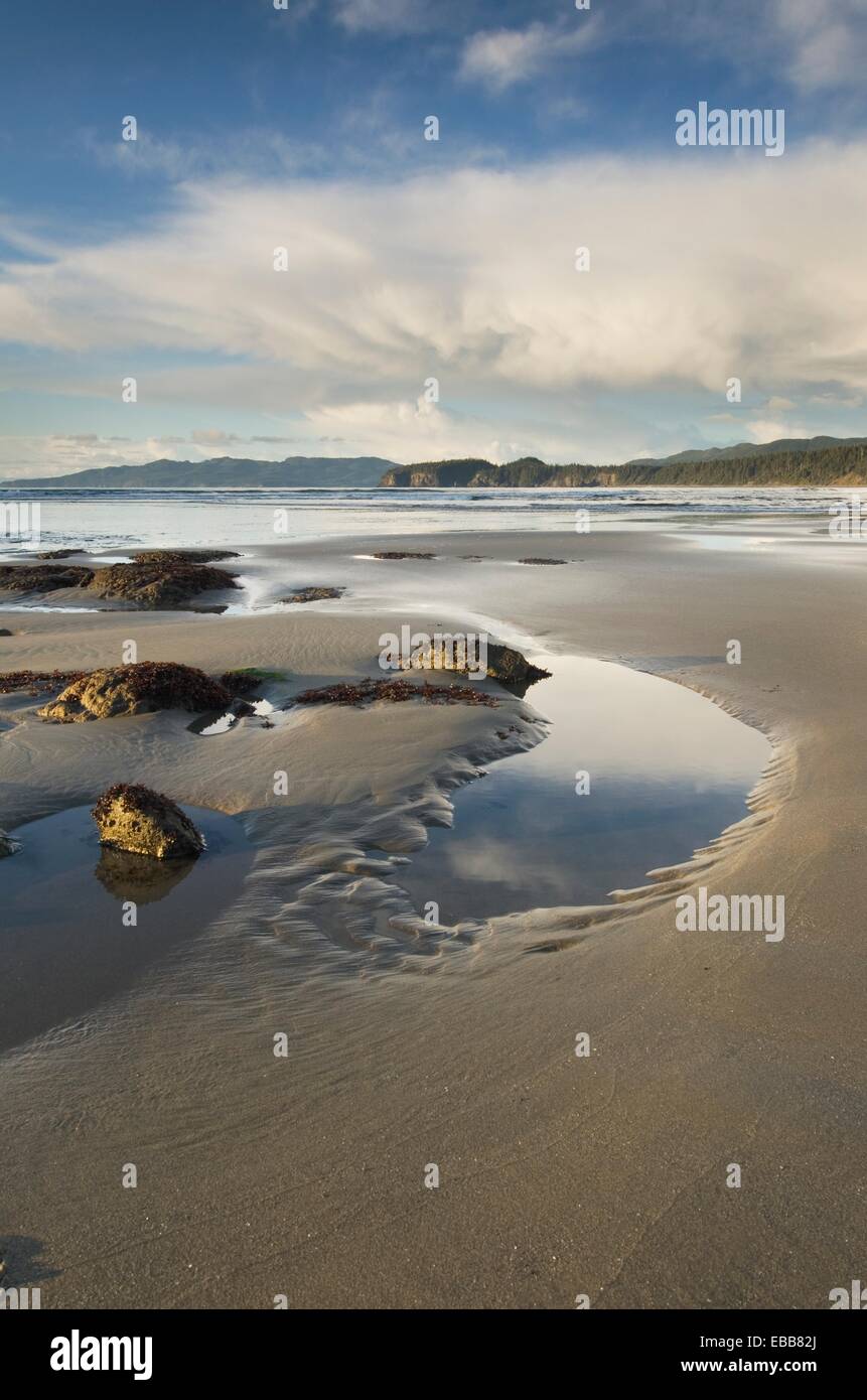 shi-shi-beach-olympic-national-park-washington-stock-photo-alamy