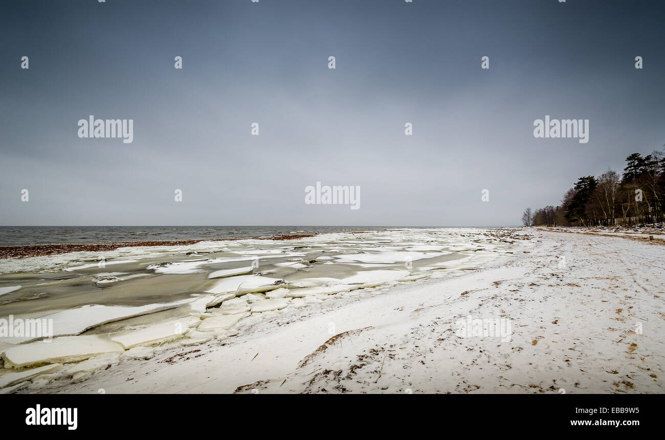 Winter shore landscape Stock Photo