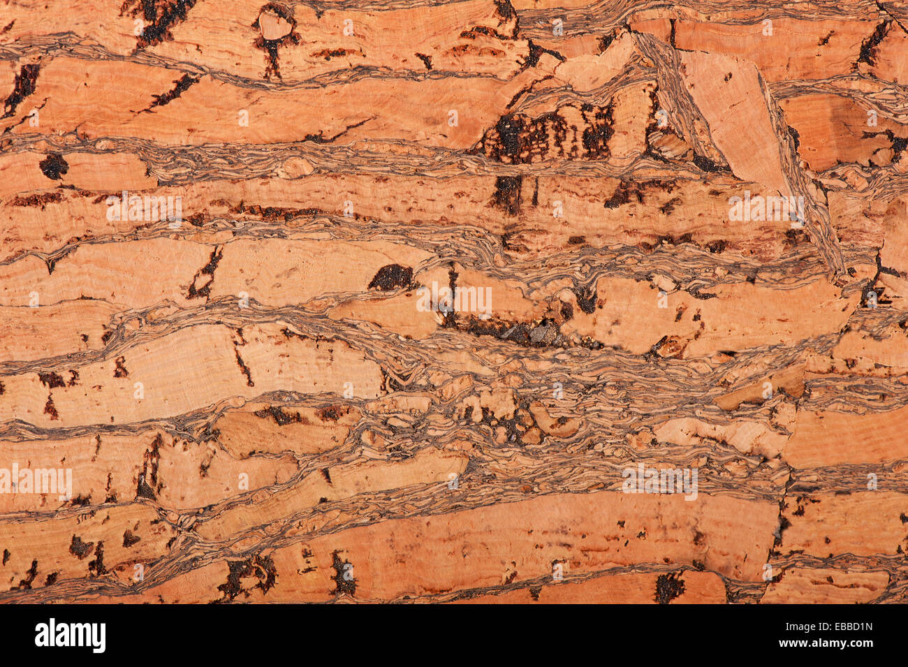 Brown cork material texture abstract Stock Photo