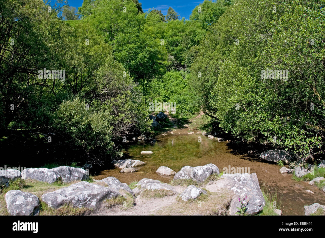 The upper reaches of the River Taw as it flows into Belstone Cleave Stock Photo