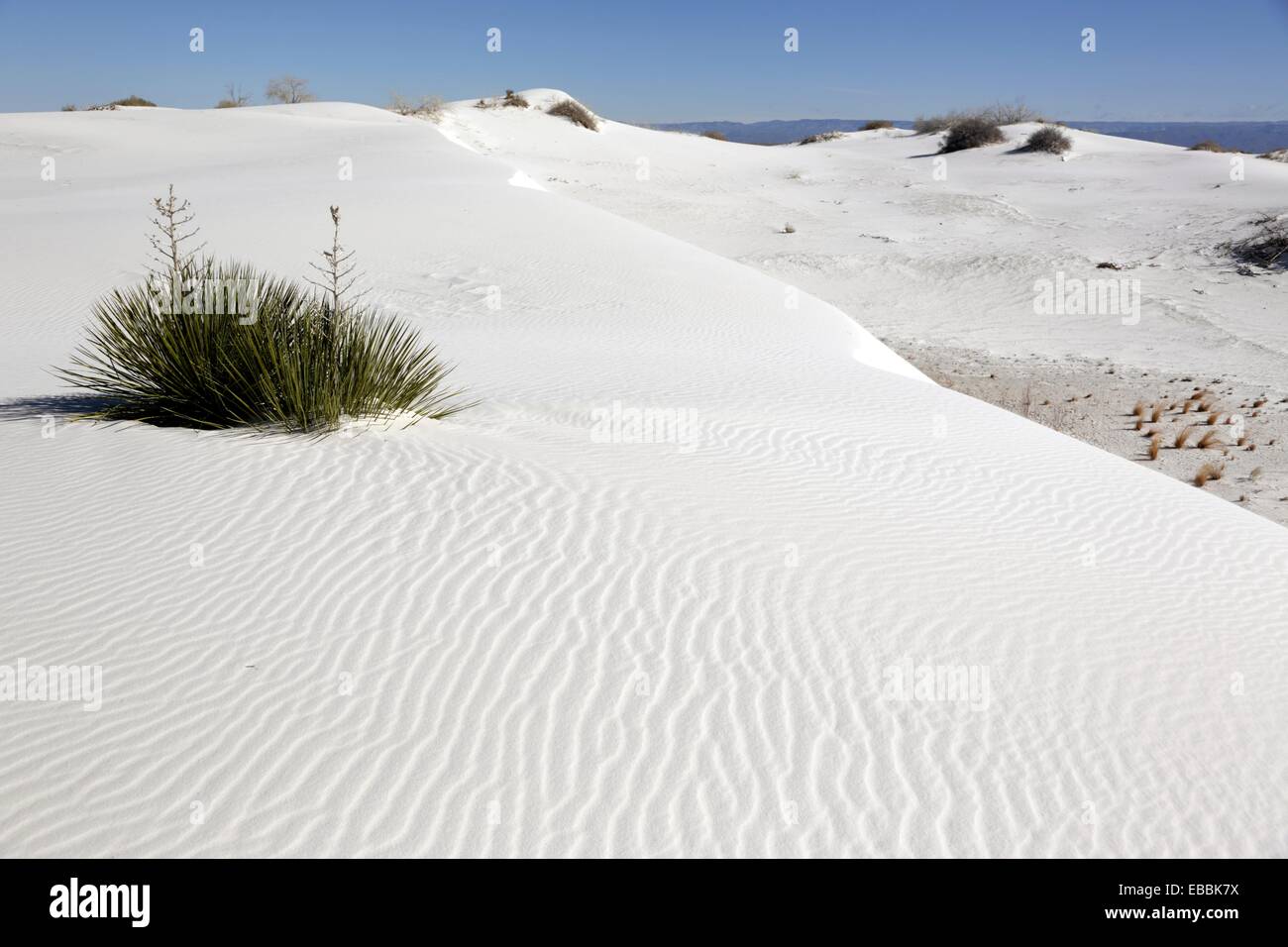 White Sands National Monument. Alamogordo. New Mexico. USA. Stock Photo