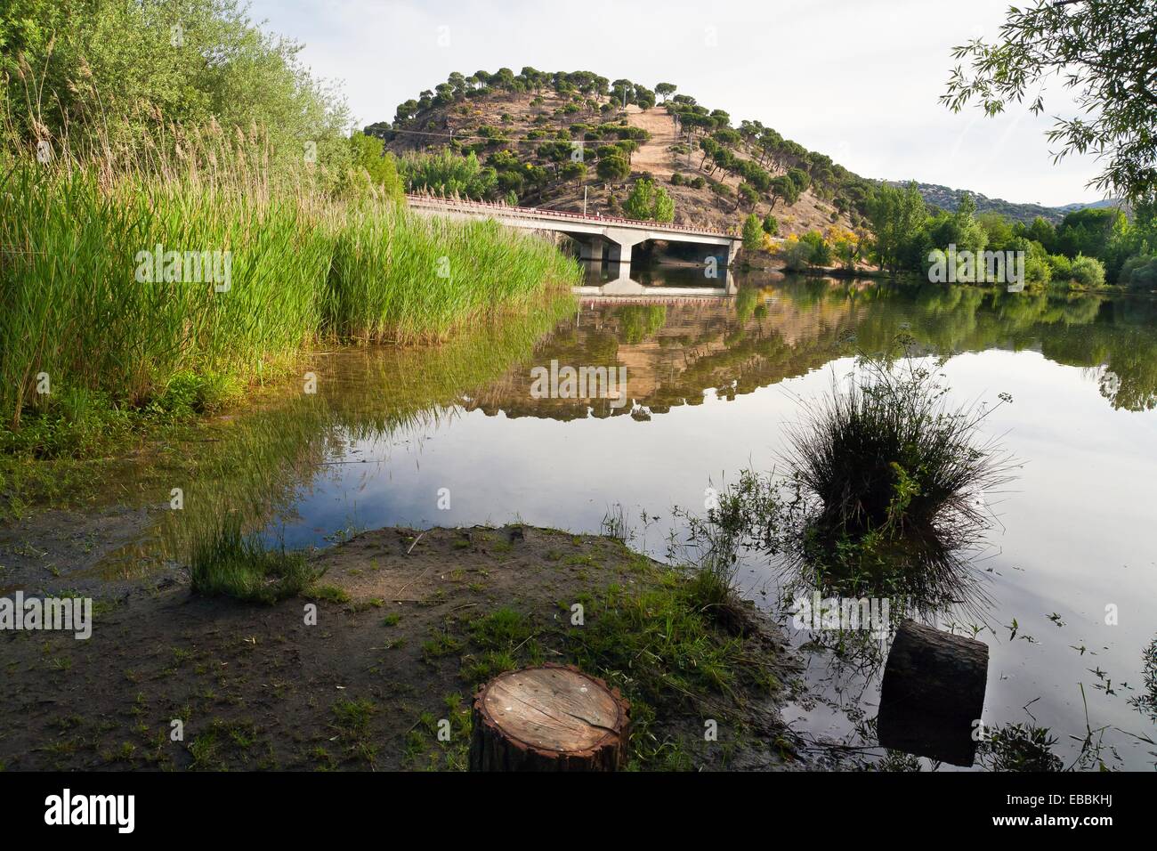 picadas-reservoir-in-pelayos-de-la-presa-madrid-spain-stock-photo-alamy