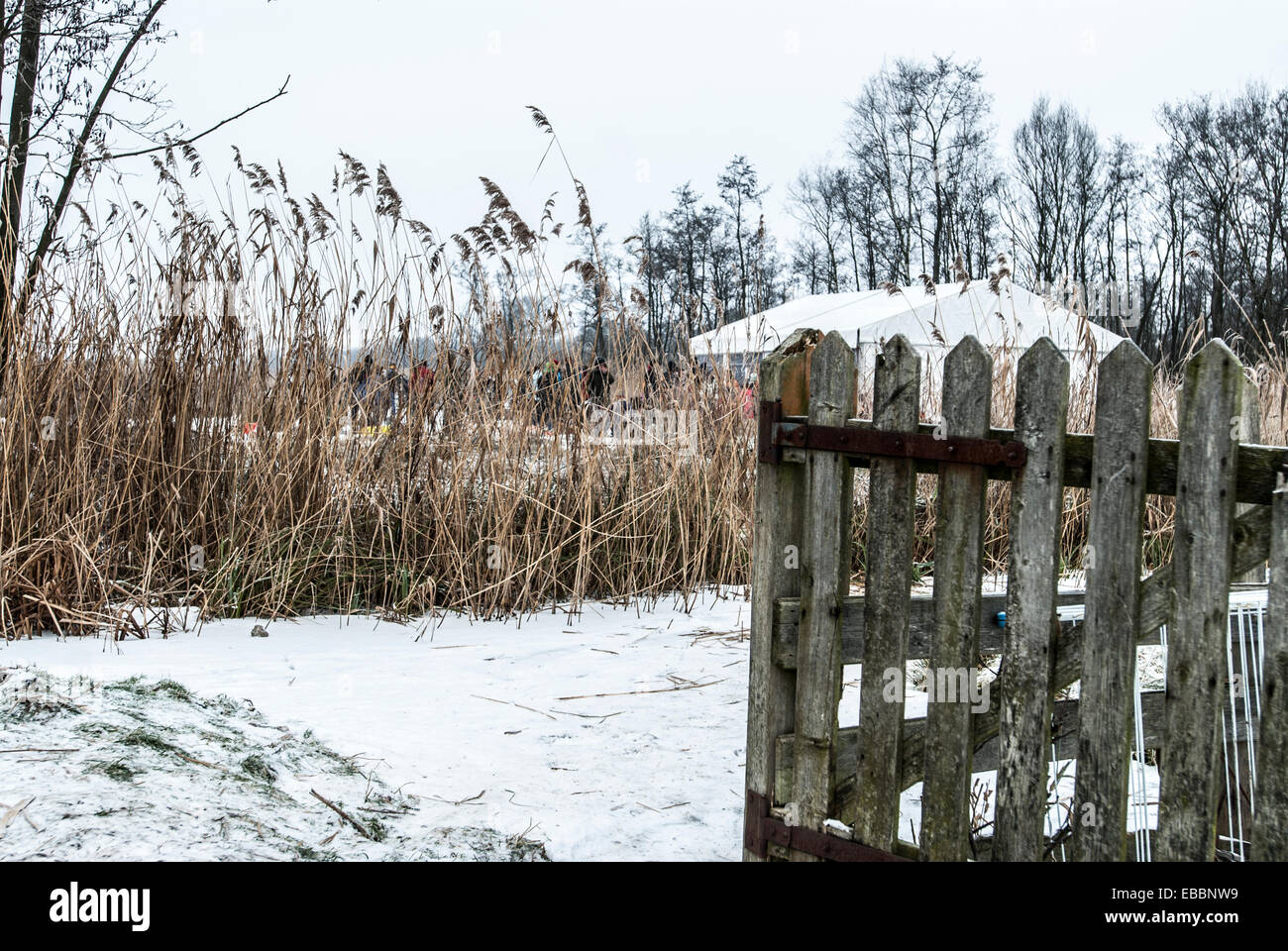 Scenic Winter landscape in Holland with wooden fence Stock Photo - Alamy