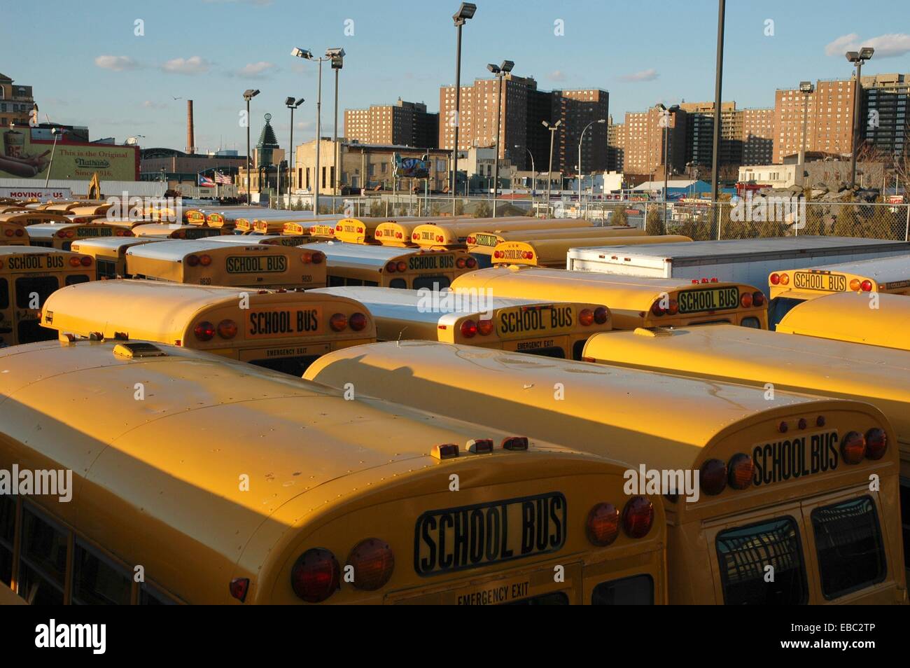 New york city school buses hi-res stock photography and images - Alamy