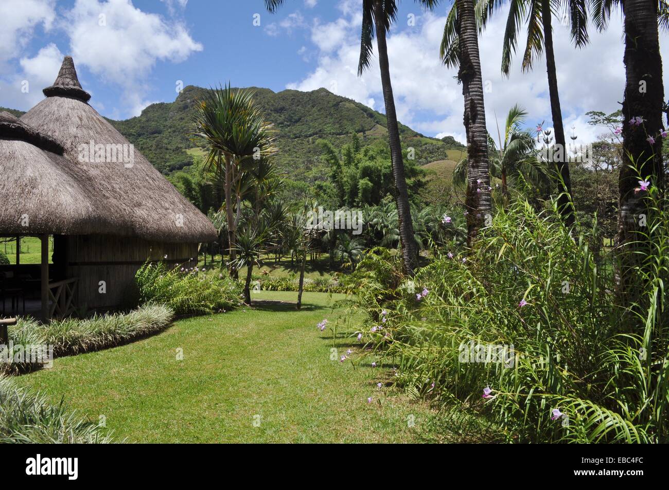 Mauritius, La Vallée de Ferney natural reserve Stock Photo Alamy