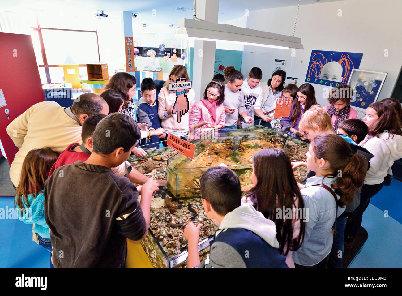 Portugal, Algarve: School kids standing around the Touch-Pool  with native sea fauna in the Interactive Science Museum in Faro Stock Photo