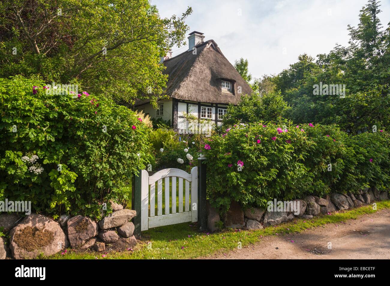 Traditional house with thatched roof in Sieseby, SchleswigHolstein