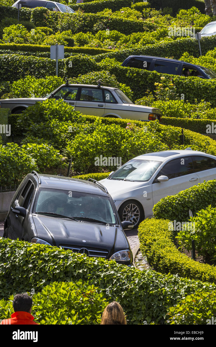 Cars driving down Lombard Street in San Francisco, California, USA