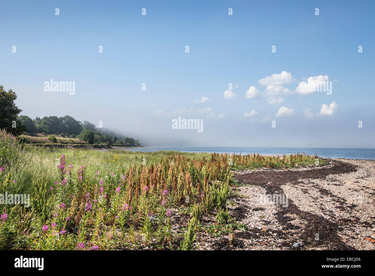 Moray Firth Shore near Inverness in Scotland Stock Photo Alamy