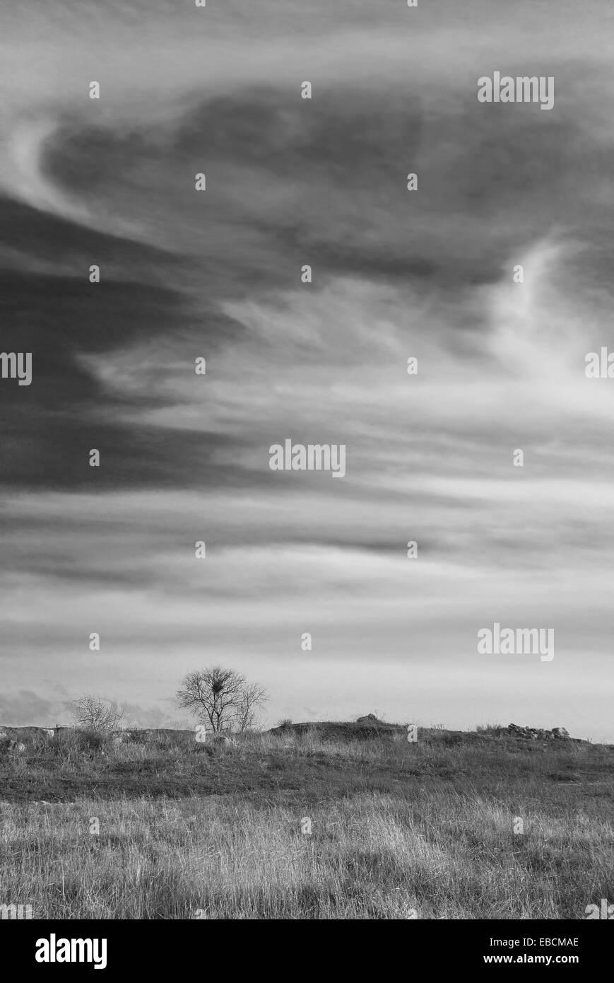 Stormy landscape with heavy clouds and the tree Stock Photo - Alamy