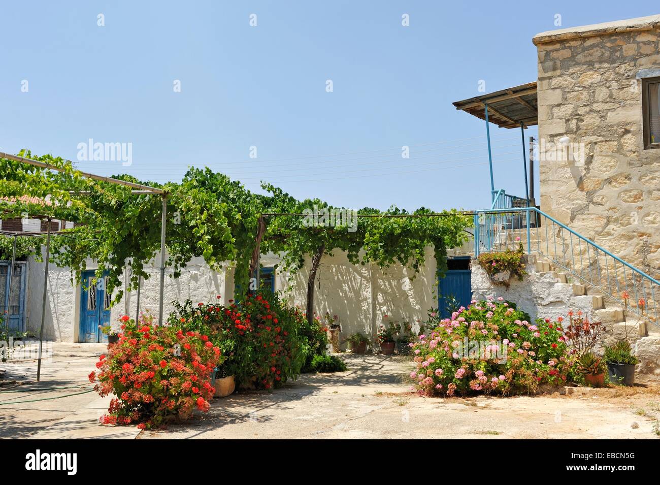 house in the village of Neo Chorio Akamas peninsula Paphos district