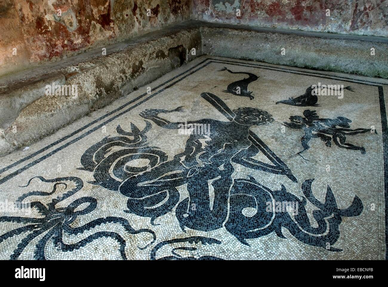 Opus tessellatum floor mosaic, depicting Triton, inside the women´s ...