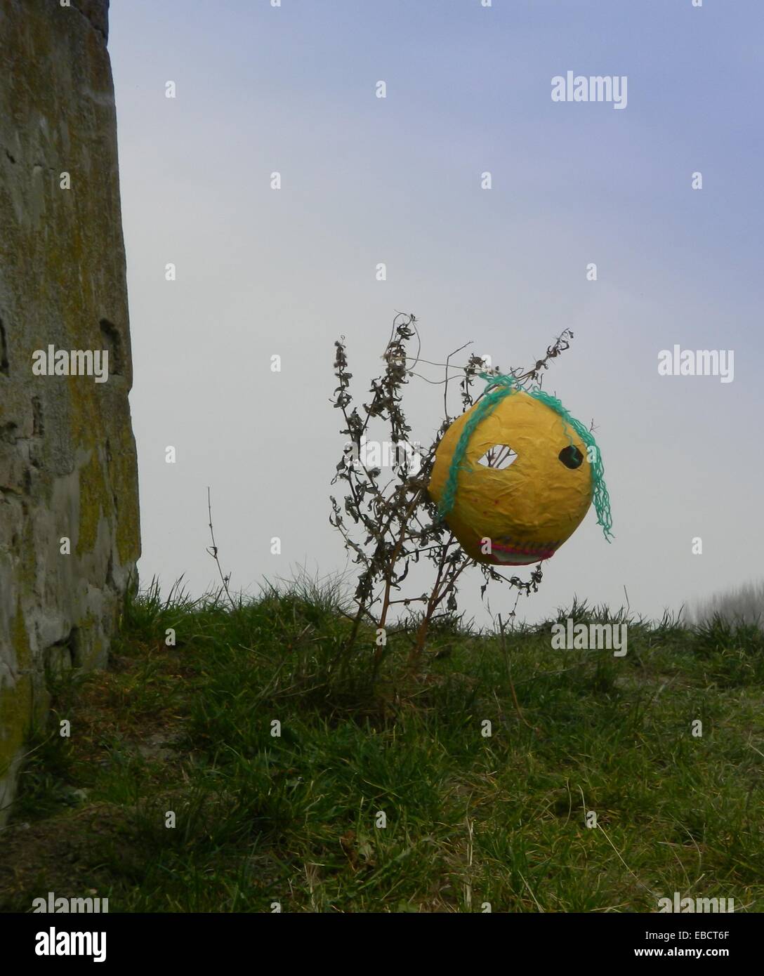 Download Yellow Old Mask Which Is Located On Top Of A Bush Stock Photo Alamy PSD Mockup Templates