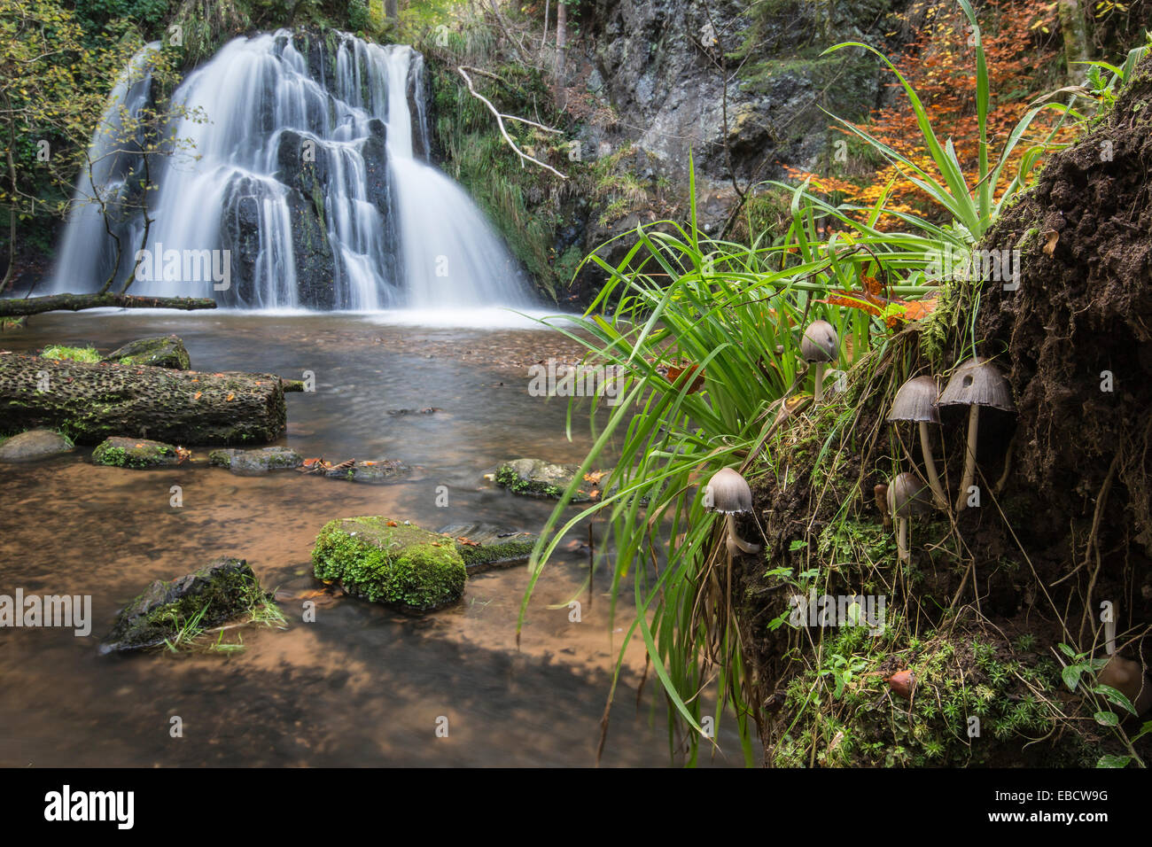 Waterfall in the Fairy Glen on the Black Isle in Scotland. Stock Photo