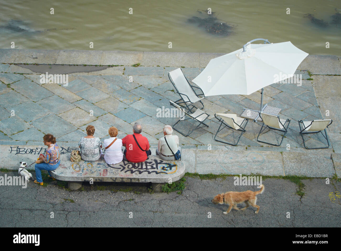Freedom of  choice. Group of old people sitting on a concrete bench, preferring that to deck chairs and large sunshade Stock Photo