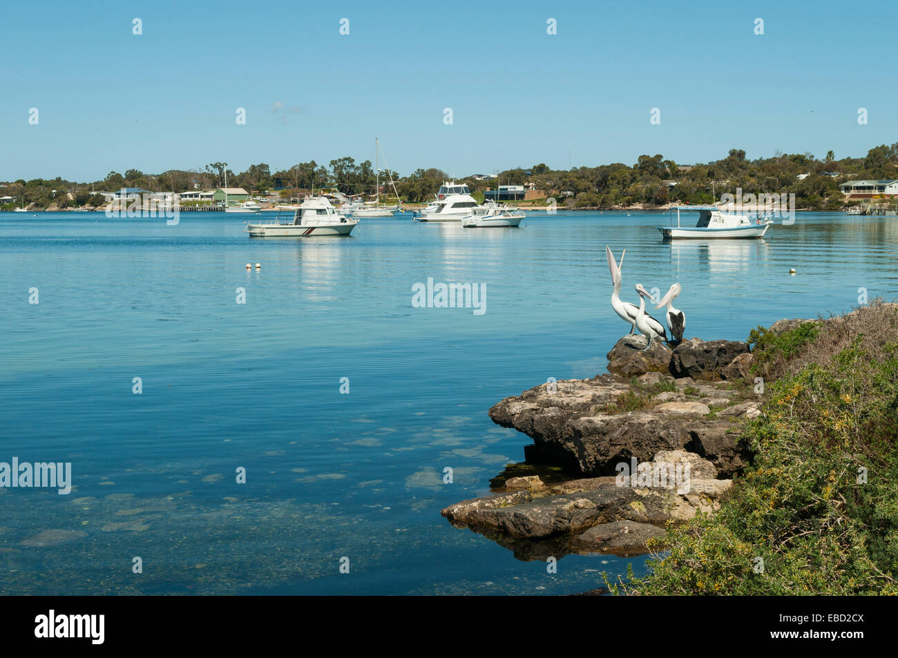 Boats in Coffin Bay, SA, Australia Stock Photo Alamy