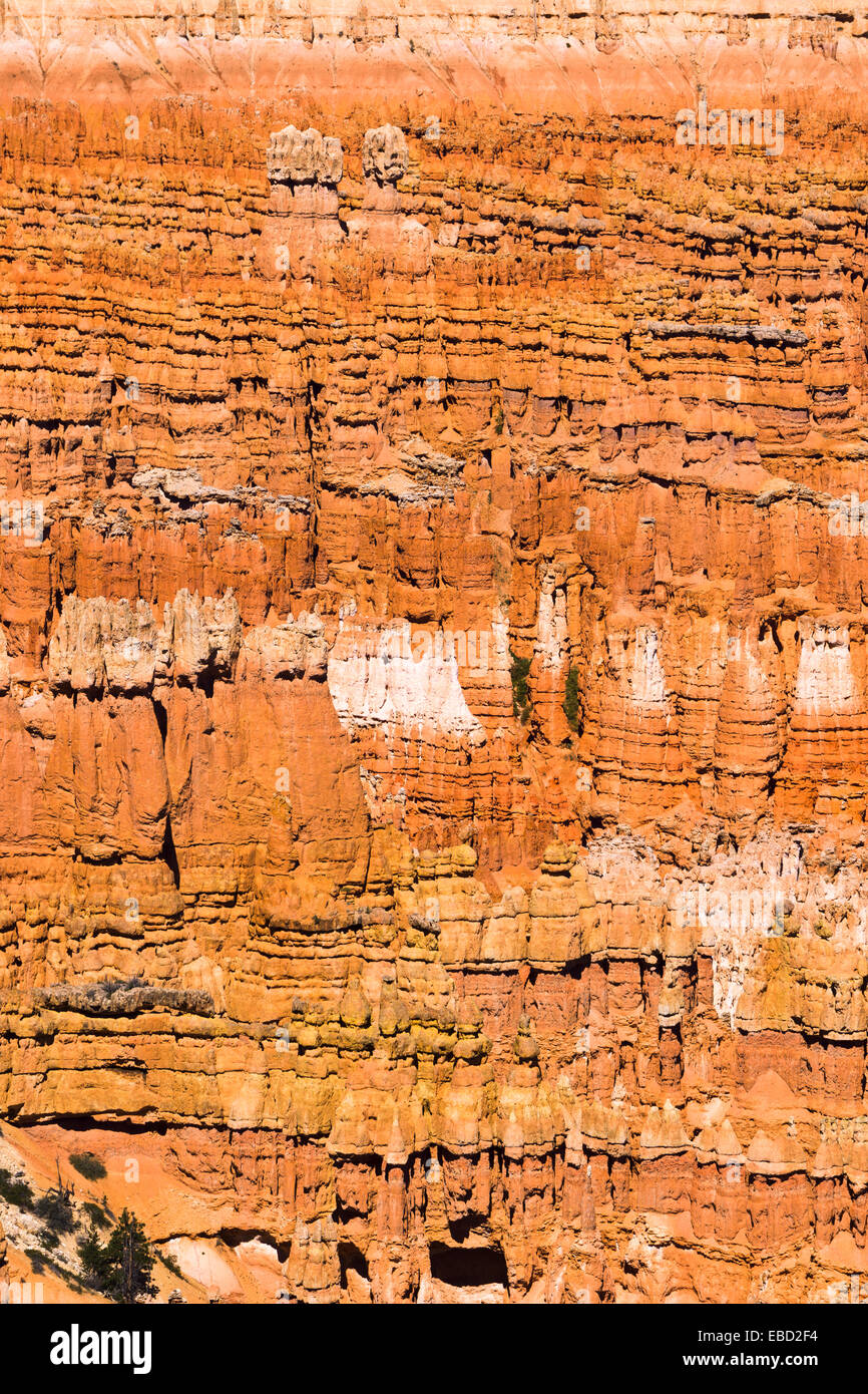 Hoodoos. Bryce Canyon National Park, Utah, USA. Stock Photo