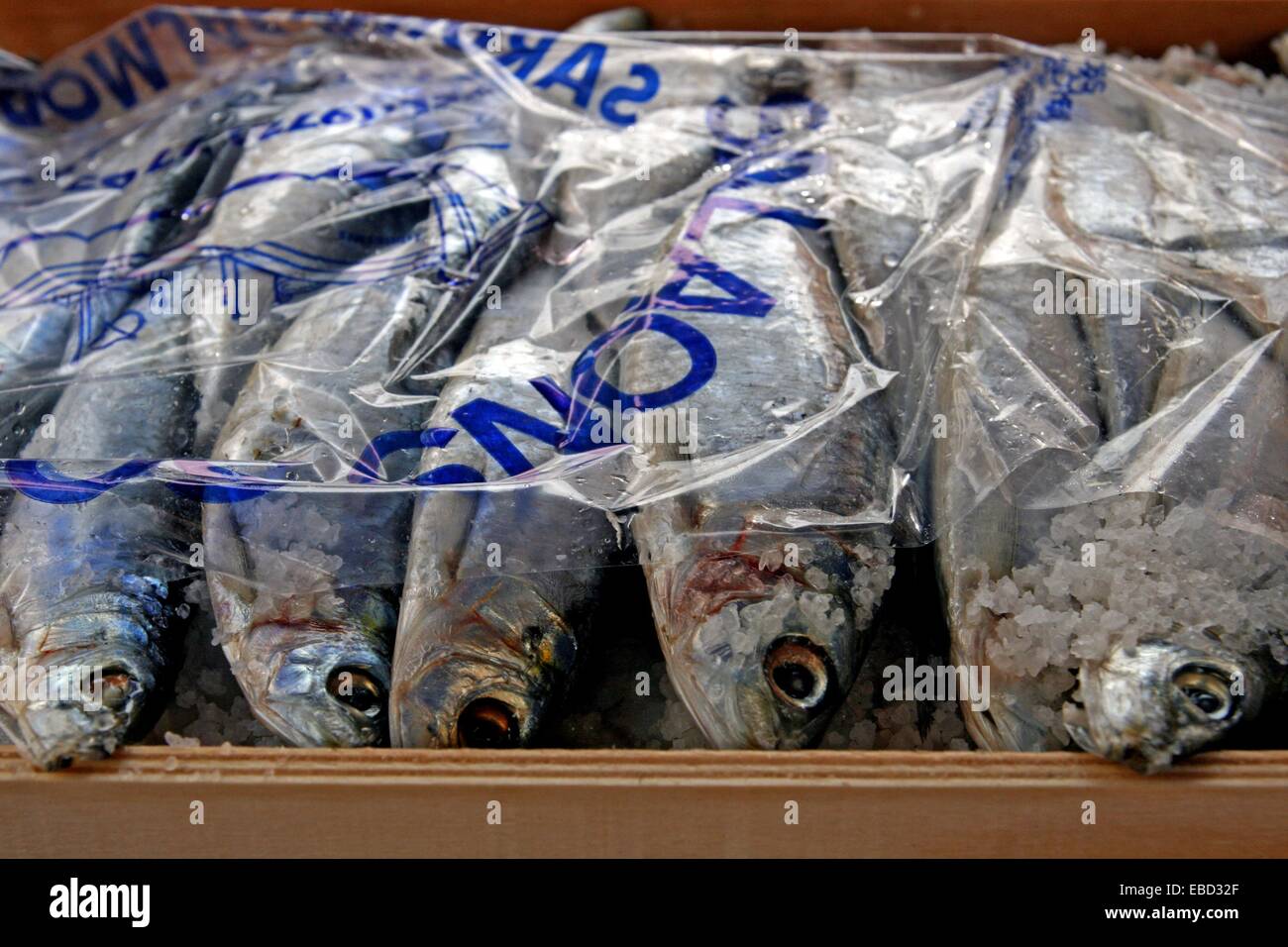 salted sardines, food Stock Photo Alamy
