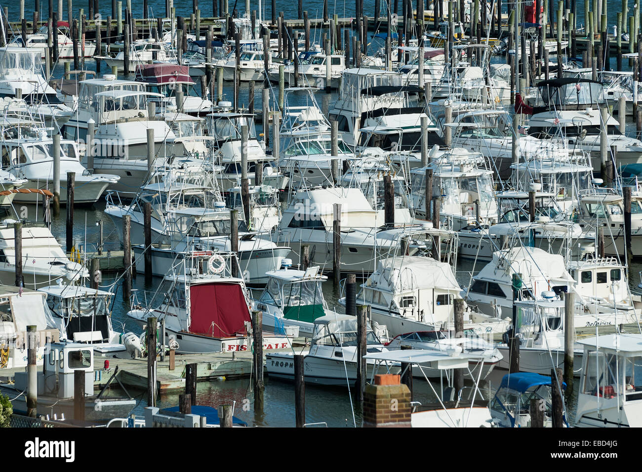 Boats docked in marina, Stock Photo