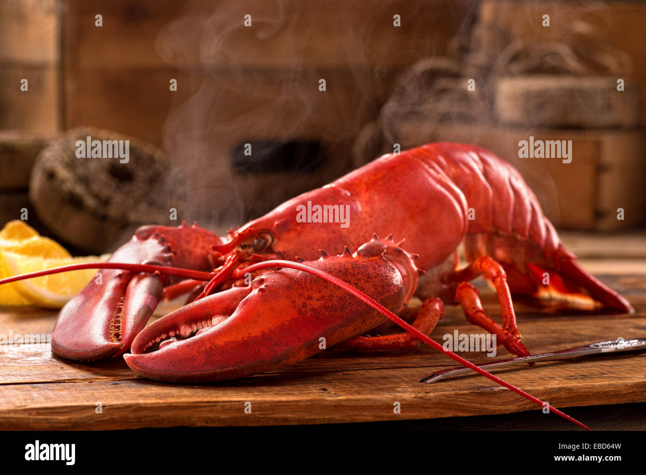 A delicious freshly steamed lobster in the rough. Stock Photo
