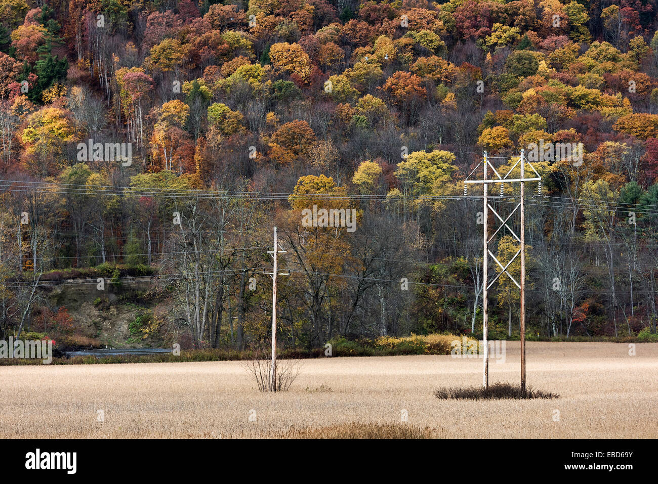 Rural power lines. Stock Photo