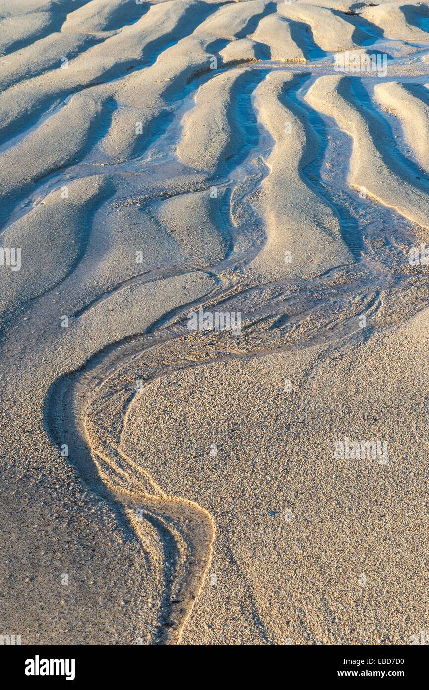 Dragon Hill, Santa Cruz Island, Galapagos, Ecuador, Unesco World