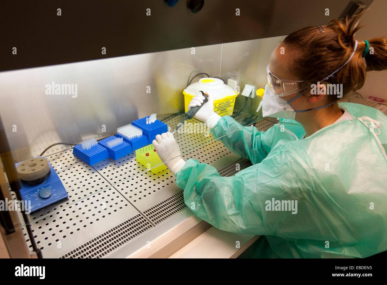 Artificial insemination Stock Photo Alamy