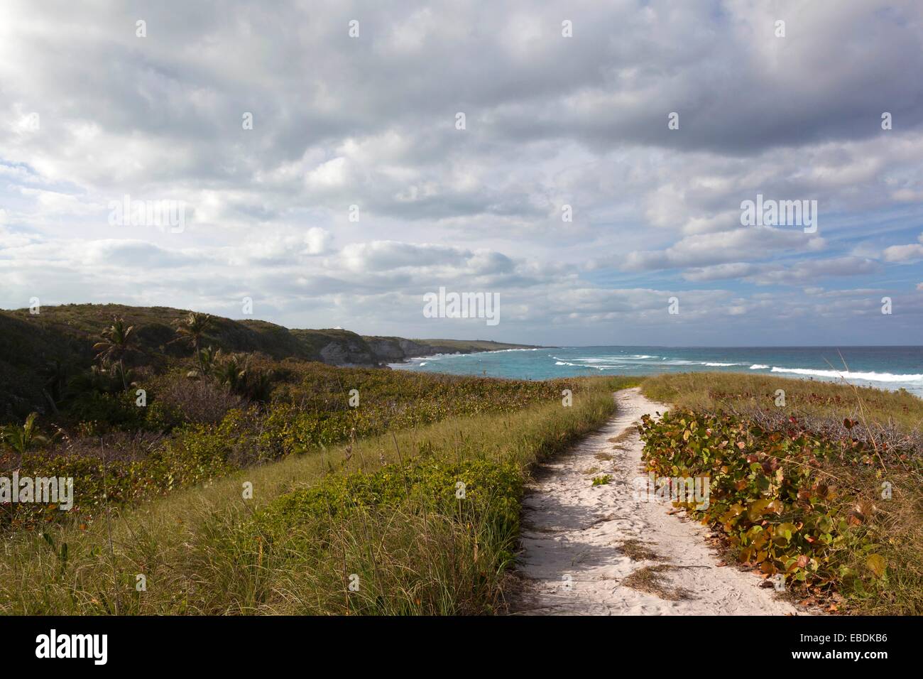 Road to surfers beach eleuthera hires stock photography and images Alamy