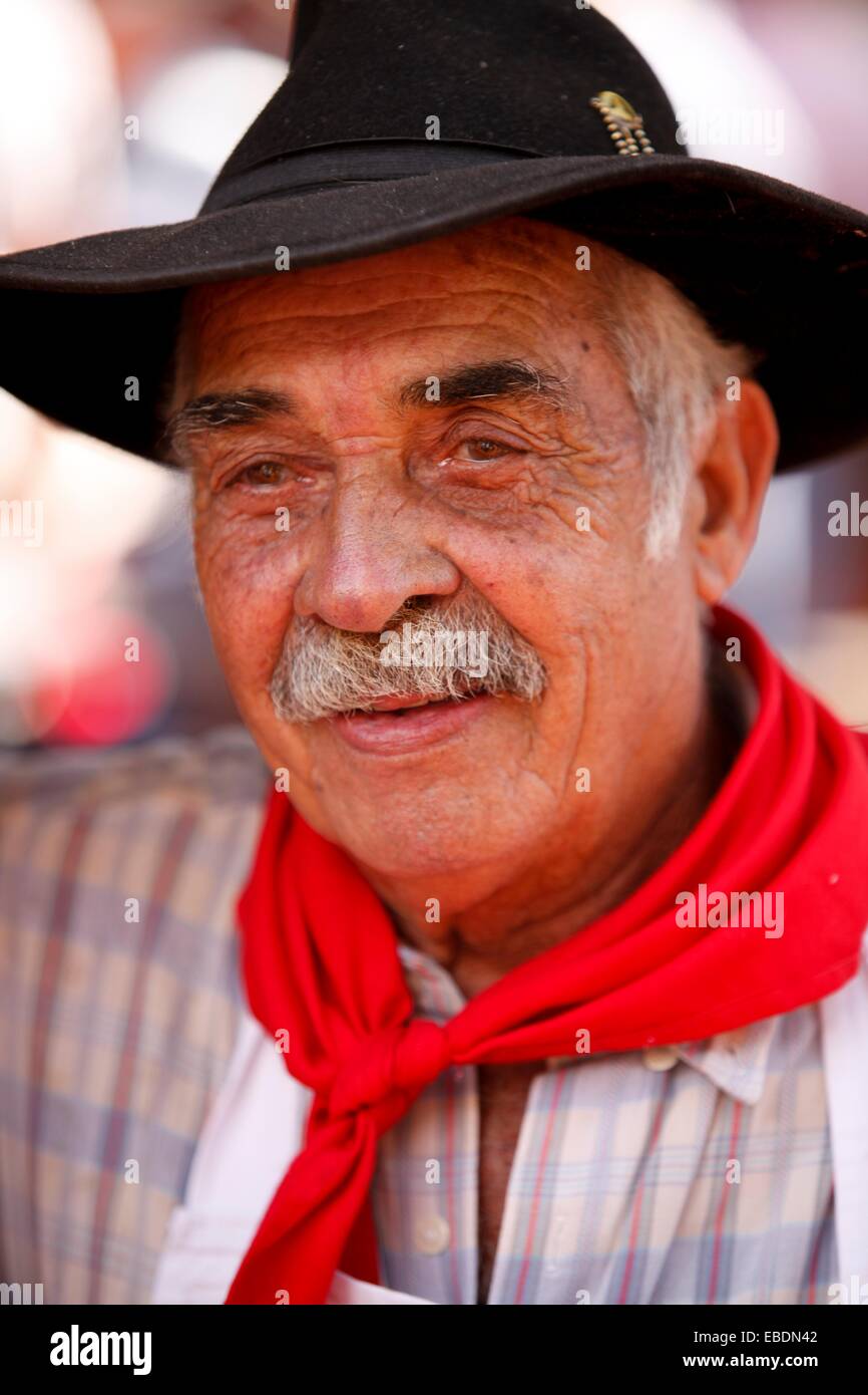 Peão boiadeiro tocando a boiada, (Brazilian cowboy) Photo t…