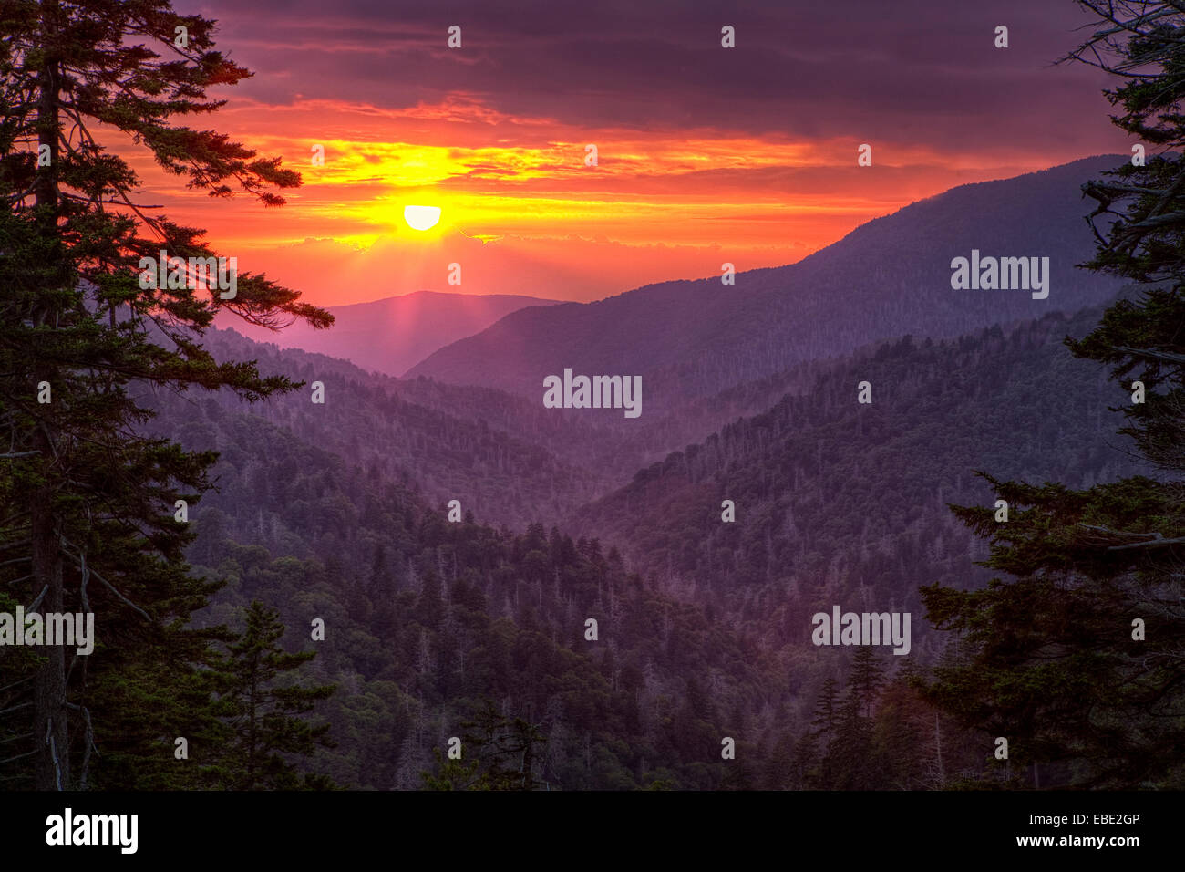 A dramatic sunset over mountain ridges framed between evergreen trees at an overloook in the Great Smoky Mountain National Park. Stock Photo