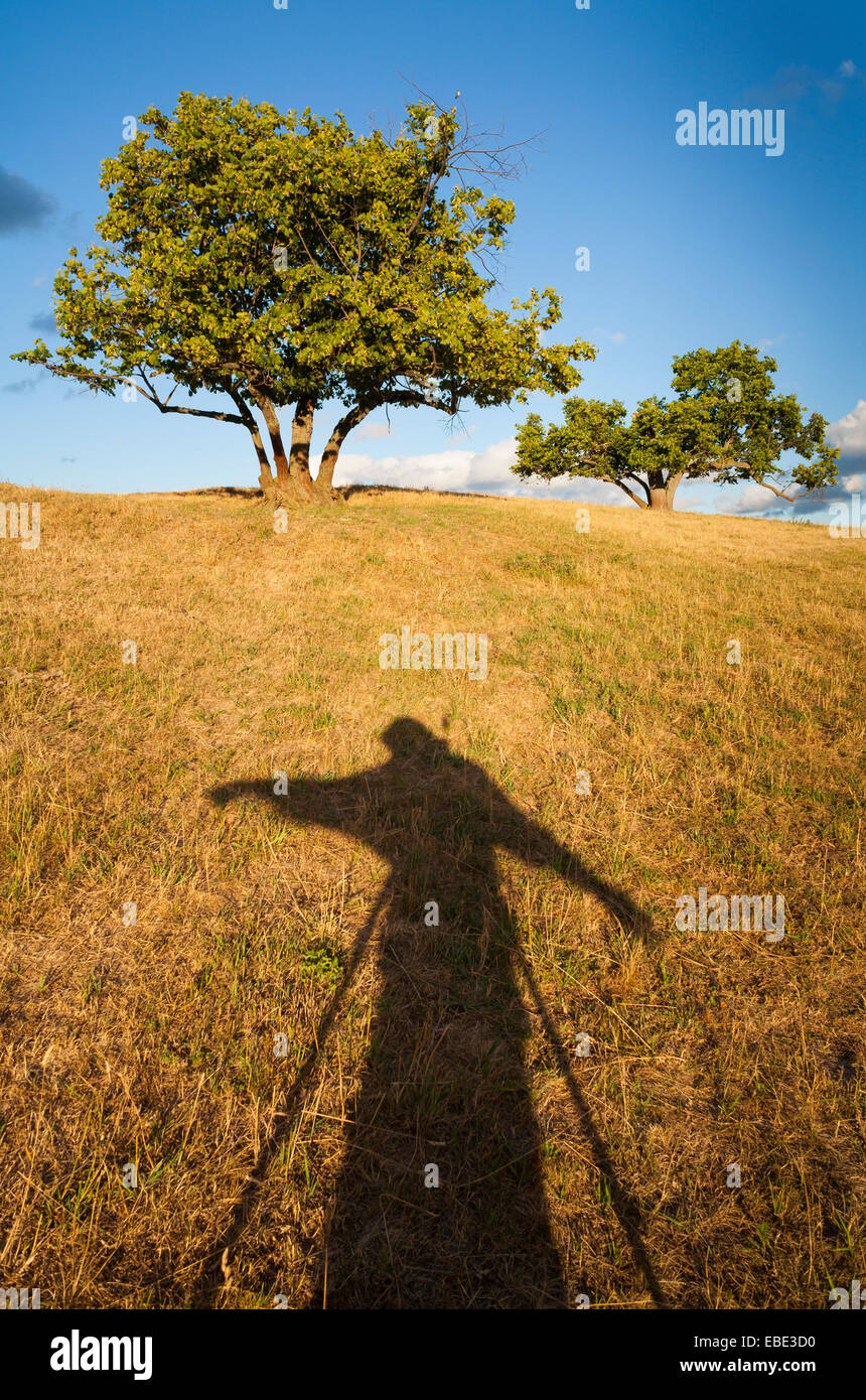 A strange human shadow with two trees on a hill in the background in Durham Region, Ontario, Canada. Stock Photo