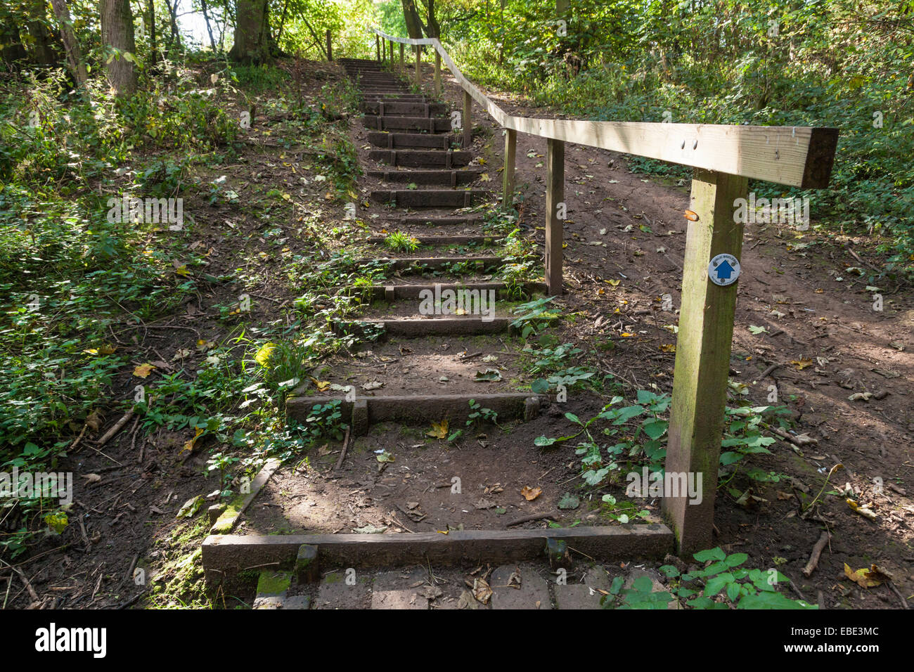 Steep Steps