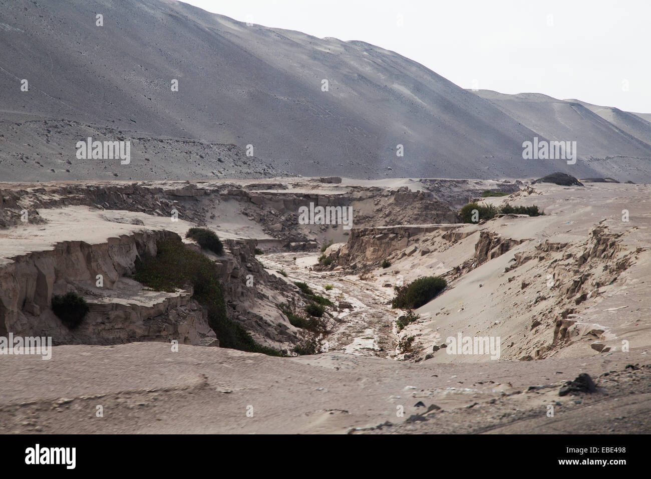 Largest earthquake peru