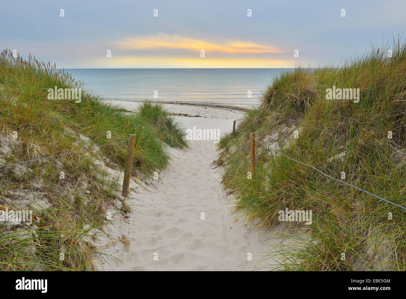 Coastal Path to Beach at Dusk, Darss West Beach, Prerow, Darss, Fischland-Darss-Zingst, Western Pomerania, Germany Stock Photo