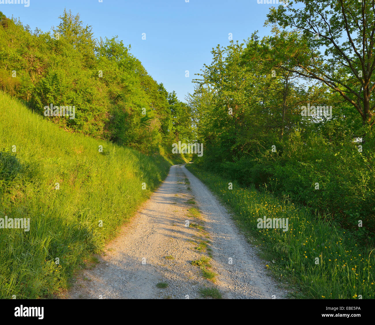 Path through Countryside in Spring, Grossheubach, Spessart, Franconia, Bavaria, Germany Stock Photo