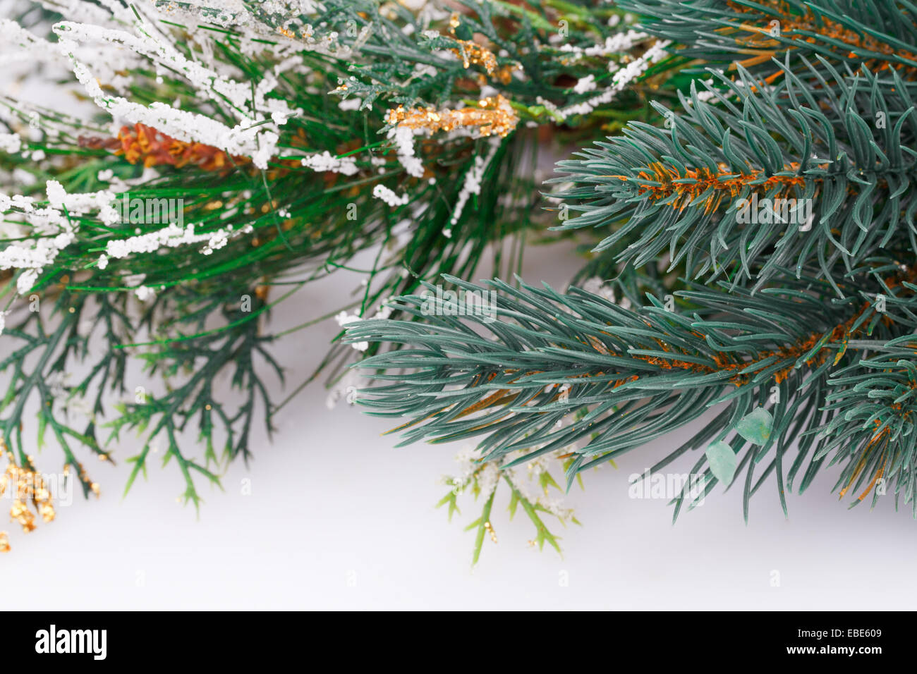 Fir tree branch golden hi-res stock photography and images - Alamy