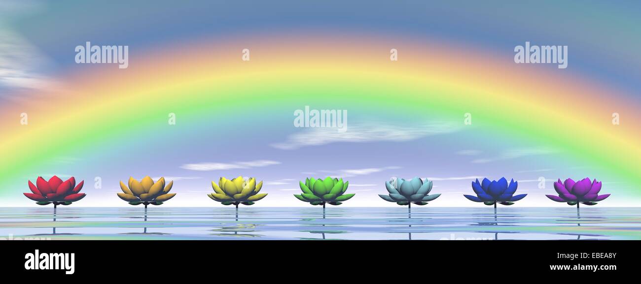 Colorful lily flowers for chakras upon water by day with rainbow Stock Photo