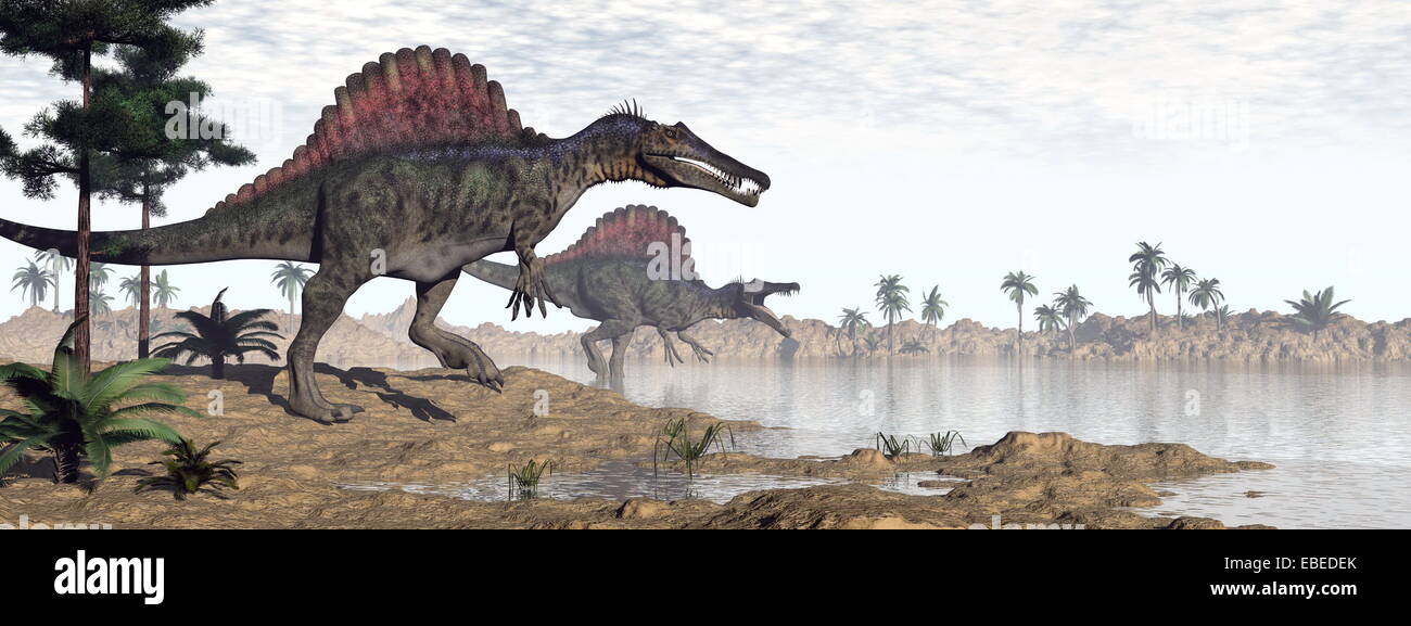 Two spinosaurus dinosaurs walking to the water in desert landscape by morning light Stock Photo