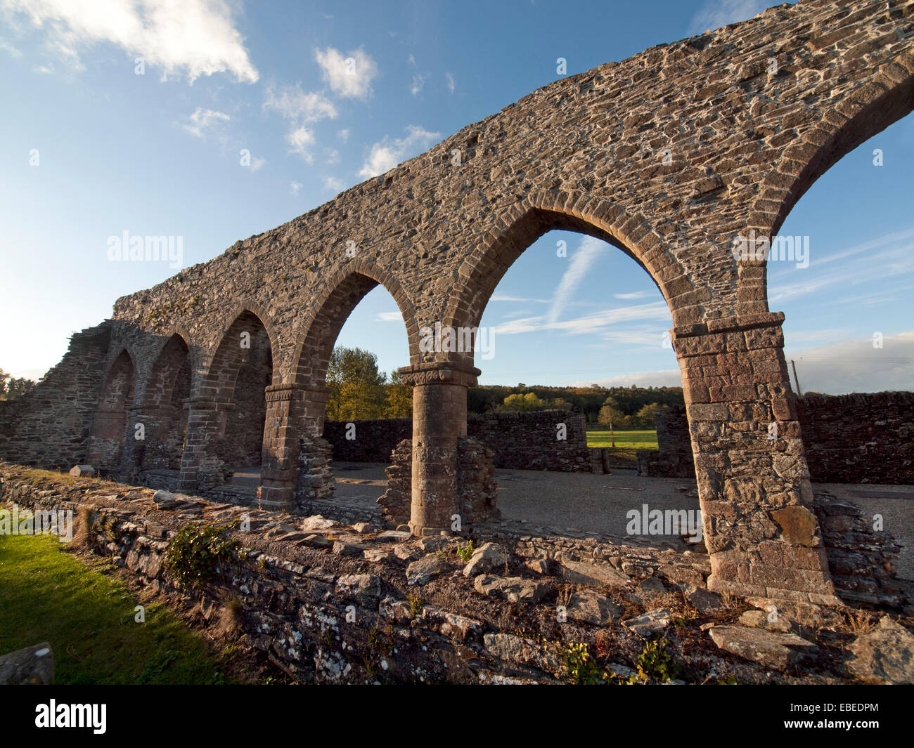 Baltinglass Abbey in County Wicklow, Ireland Stock Photo - Alamy