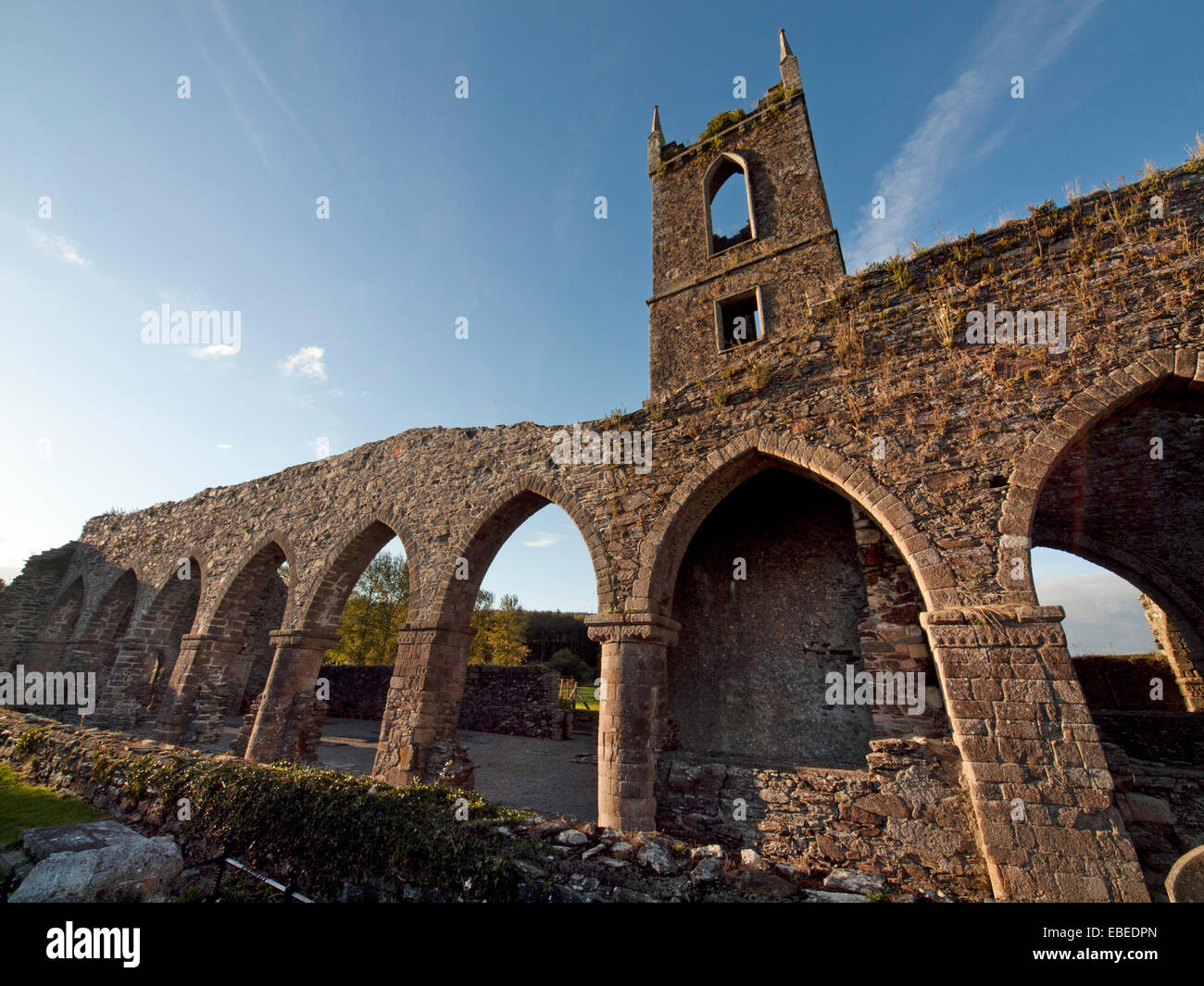 Baltinglass Abbey in County Wicklow, Ireland Stock Photo - Alamy