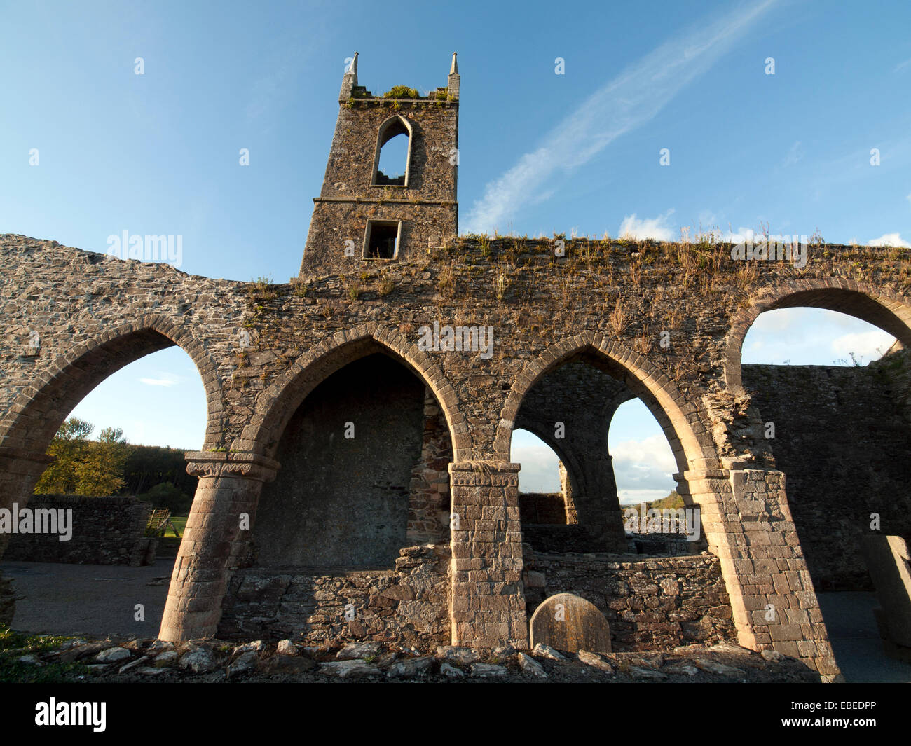 Baltinglass Abbey in County Wicklow, Ireland Stock Photo - Alamy