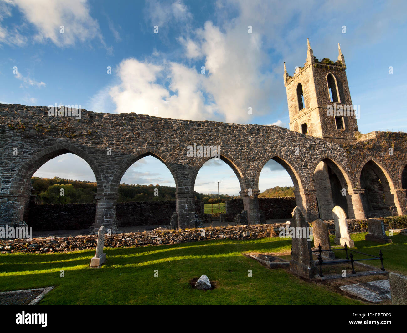 Baltinglass Abbey in County Wicklow, Ireland Stock Photo - Alamy